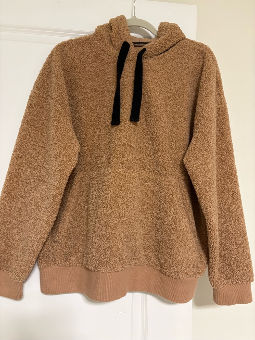 Zara Cozy Sherpa Hoodie Pullover in Camel
